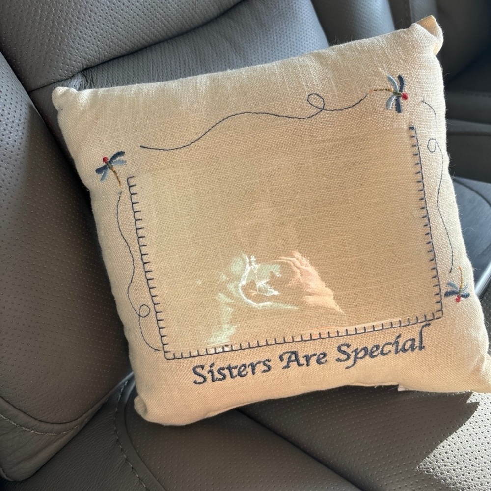 Embroidered 'Sisters Are Special' Beige picture  Pillow